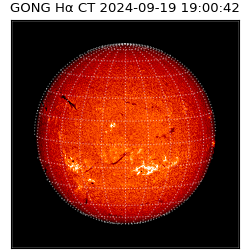 gong - 2024-09-19T19:00:42