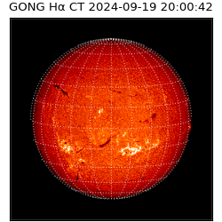 gong - 2024-09-19T20:00:42