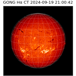 gong - 2024-09-19T21:00:42