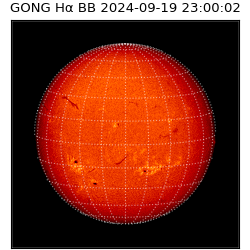 gong - 2024-09-19T23:00:02