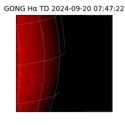 gong - 2024-09-20T07:47:22