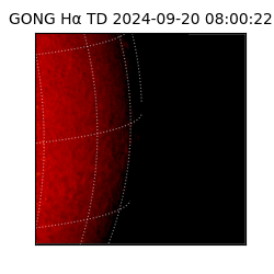 gong - 2024-09-20T08:00:22