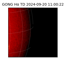 gong - 2024-09-20T11:00:22