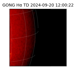 gong - 2024-09-20T12:00:22