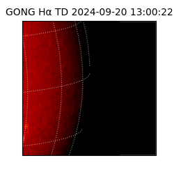 gong - 2024-09-20T13:00:22