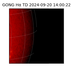 gong - 2024-09-20T14:00:22