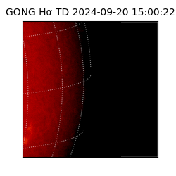 gong - 2024-09-20T15:00:22