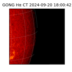gong - 2024-09-20T18:00:42