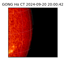 gong - 2024-09-20T20:00:42