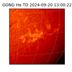 gong - 2024-09-20T13:00:22