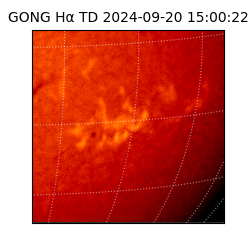 gong - 2024-09-20T15:00:22