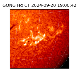 gong - 2024-09-20T19:00:42