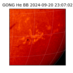 gong - 2024-09-20T23:07:02