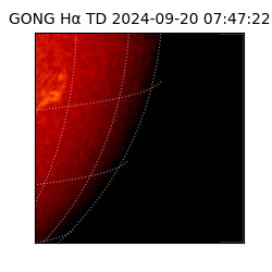 gong - 2024-09-20T07:47:22