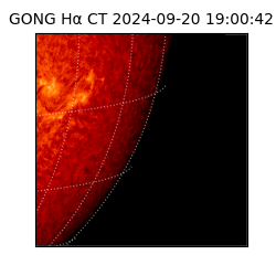 gong - 2024-09-20T19:00:42