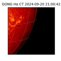 gong - 2024-09-20T21:00:42