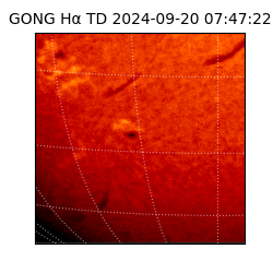 gong - 2024-09-20T07:47:22