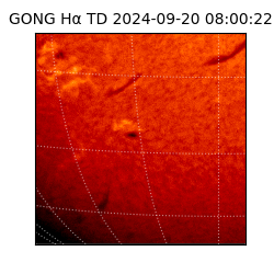 gong - 2024-09-20T08:00:22