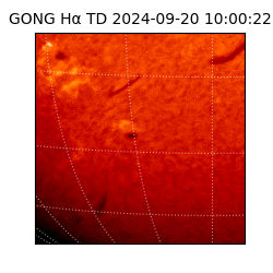 gong - 2024-09-20T10:00:22