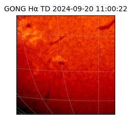 gong - 2024-09-20T11:00:22