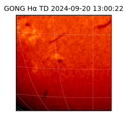 gong - 2024-09-20T13:00:22