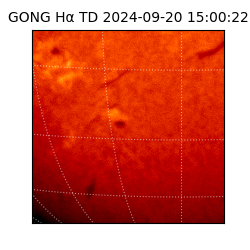 gong - 2024-09-20T15:00:22