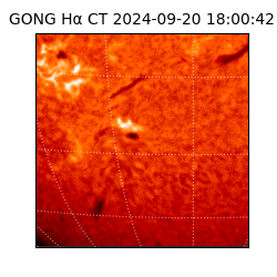 gong - 2024-09-20T18:00:42