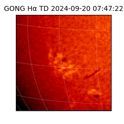 gong - 2024-09-20T07:47:22