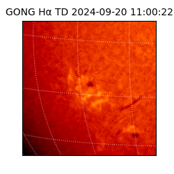 gong - 2024-09-20T11:00:22