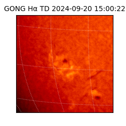 gong - 2024-09-20T15:00:22
