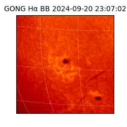 gong - 2024-09-20T23:07:02