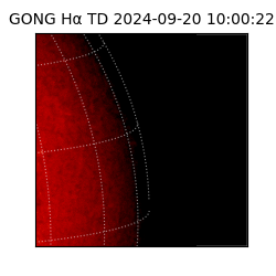 gong - 2024-09-20T10:00:22