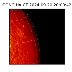 gong - 2024-09-20T20:00:42