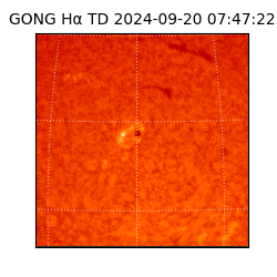 gong - 2024-09-20T07:47:22