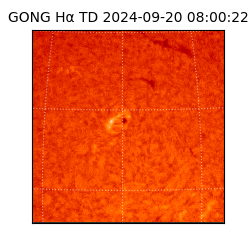 gong - 2024-09-20T08:00:22