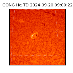 gong - 2024-09-20T09:00:22