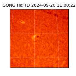 gong - 2024-09-20T11:00:22