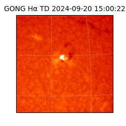 gong - 2024-09-20T15:00:22