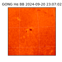 gong - 2024-09-20T23:07:02