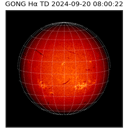 gong - 2024-09-20T08:00:22