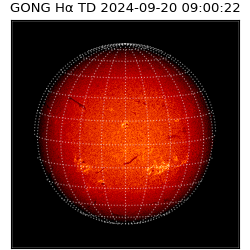 gong - 2024-09-20T09:00:22