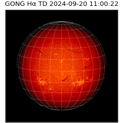 gong - 2024-09-20T11:00:22