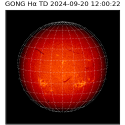 gong - 2024-09-20T12:00:22