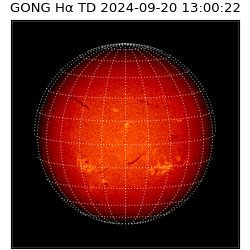 gong - 2024-09-20T13:00:22