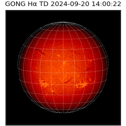 gong - 2024-09-20T14:00:22