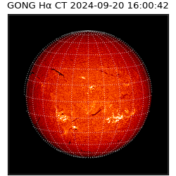 gong - 2024-09-20T16:00:42