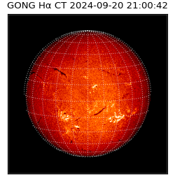 gong - 2024-09-20T21:00:42