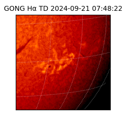 gong - 2024-09-21T07:48:22