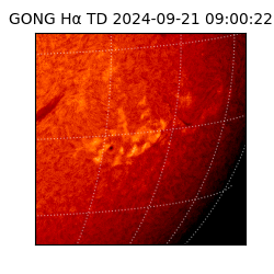 gong - 2024-09-21T09:00:22