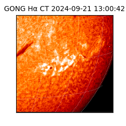 gong - 2024-09-21T13:00:42